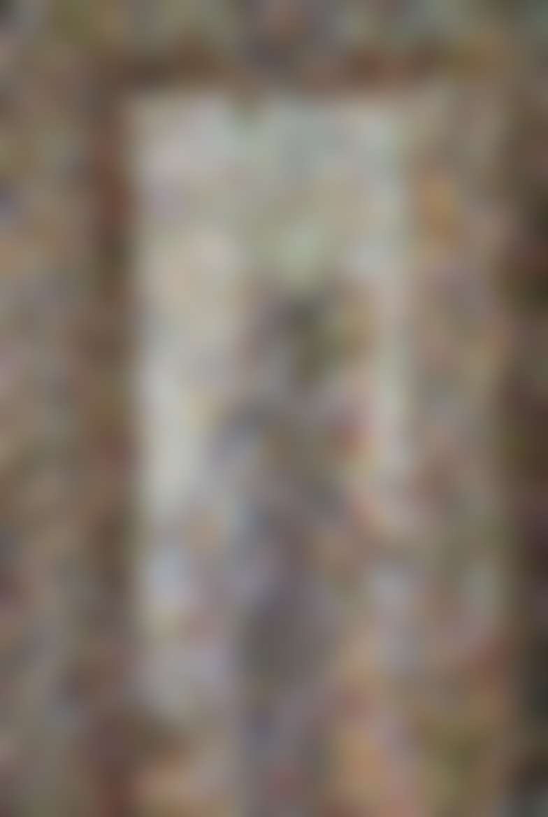 Blurred hallway capture from an evidence dossier